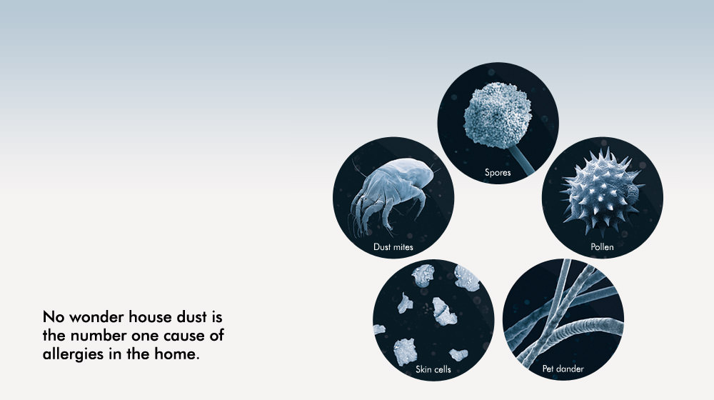 Dust_Introduction.ashx